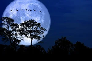 Mid-Autumn Supermoon Guide: Best Viewing Times and Tips in Vietnam - image 5