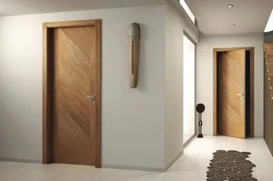 Best Modern Door Designs 2026: Real-Life Home Inspiration - image 10
