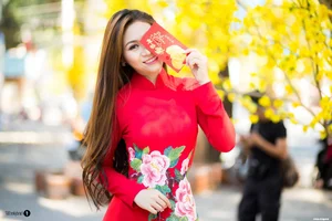 The Timeless Elegance of Vietnamese Ao Dai: A Stunning Collection of Traditional Fashion and Cultural Beauty - image 4
