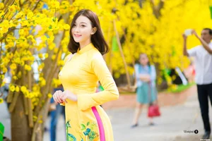 The Timeless Elegance of Vietnamese Ao Dai: A Stunning Collection of Traditional Fashion and Cultural Beauty - image 35