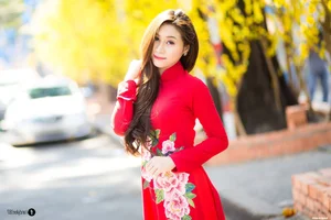 The Timeless Elegance of Vietnamese Ao Dai: A Stunning Collection of Traditional Fashion and Cultural Beauty - image 29