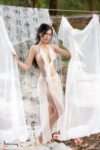 Artistic Cosplay of Phan Kim Lien: Reimagining Classical Beauty in Vietnam - image 7