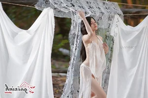 Artistic Cosplay of Phan Kim Lien: Reimagining Classical Beauty in Vietnam - image 22