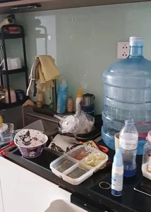 A Mother’s Shock: The Viral Story of a Son’s Messy Apartment - image 1