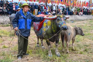 Experience the Traditional Tich Dien Festival: Reenacting the Ancient King’s Plowing Ceremony in Vietnam - image 3