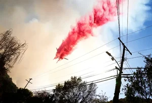 The Science of Pink Fire Retardant Powder in Wildfire Fighting - image 1
