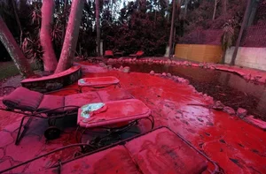 The Science of Pink Fire Retardant Powder in Wildfire Fighting - image 0