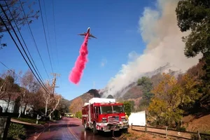 The Science of Pink Fire Retardant Powder in Wildfire Fighting - image 6