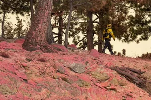 The Science of Pink Fire Retardant Powder in Wildfire Fighting - image 5