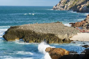 Discover the Natural Splendour of Hang Rai in Nui Chua National Park, Vietnam - image 0