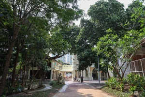 Exploring the 100-Year-Old Villa: The Iconic Ho Chi Minh City Youth Cultural House - image 8