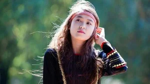 Beautiful Vietnamese Girls Gallery: Modern Portraits and Lifestyle - image 1