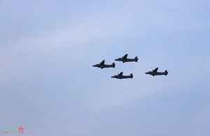 Spectacular Aerial Displays and Cultural Parades Highlight the MILAN 2024 Multilateral Naval Exercise - image 10