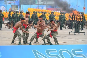 Spectacular Aerial Displays and Flare Launches at the Vietnam International Defense Expo 2024 - image 2