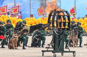 Spectacular Aerial Displays and Flare Launches at the Vietnam International Defense Expo 2024 - image 7