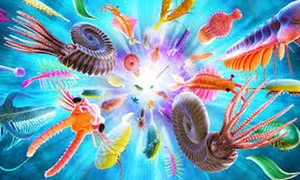 Extraordinary 520-Million-Year-Old Fossil Reveals Secrets of the Cambrian Explosion - image 1