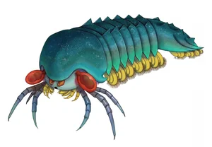 Extraordinary 520-Million-Year-Old Fossil Reveals Secrets of the Cambrian Explosion - image 5