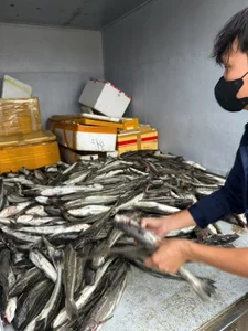 Phuoc Tich Ancient Village Faces Historic and Rare Flooding - image 14