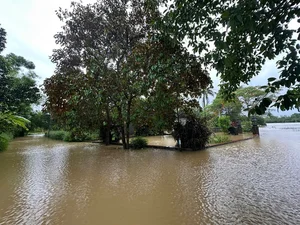 Phuoc Tich Ancient Village Faces Historic and Rare Flooding - image 15
