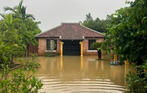 Phuoc Tich Ancient Village Faces Historic and Rare Flooding - image 6