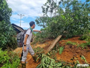 Dan Tri Newspaper Delivers Emergency Aid to Flood-Affected Family in Yen Bai - image 6