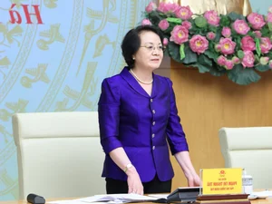 Deputy Prime Minister Advocates for Comprehensive Child Development Initiatives - image 5