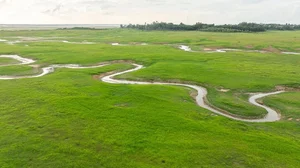 A Visual Journey to Tri An: Why This Grassland is the Perfect Seasonal Getaway - image 10