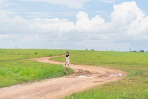 A Visual Journey to Tri An: Why This Grassland is the Perfect Seasonal Getaway - image 3