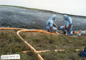 The Abandoned Island Known as the Pollution Monster - image 3