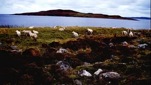 The Abandoned Island Known as the Pollution Monster - image 6