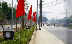 Exploring Thanh Hoa's Largest Public Park After Its Stunning Modern Renovation - image 11