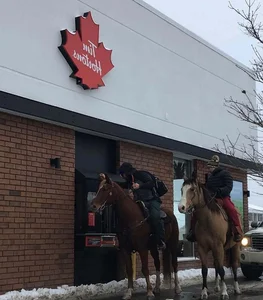 A Glimpse into Daily Life in Canada: A Land of Surprising Beauty - image 8