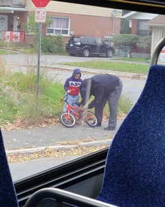 A Glimpse into Daily Life in Canada: A Land of Surprising Beauty - image 5