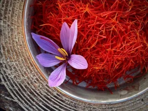 Discover the Rarest and Most Expensive Flowers in the World - image 5