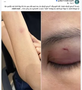 Public Controversy: Bar Representative and Family React to Trung Quan Idol Incident - image 3