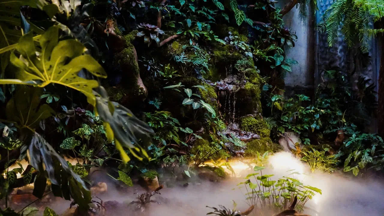 Tropical Green Wall Design: Integrating Nature into Modern Architecture