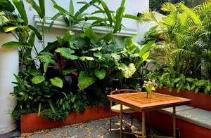 Tropical Green Wall Design: Integrating Nature into Modern Architecture - image 1