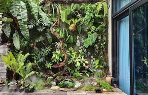 Tropical Green Wall Design: Integrating Nature into Modern Architecture - image 5