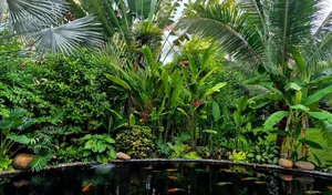 Tropical Green Wall Design: Integrating Nature into Modern Architecture - image 6