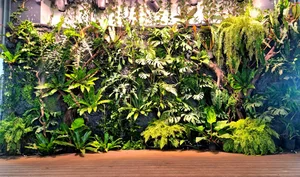 Tropical Green Wall Design: Integrating Nature into Modern Architecture - image 3