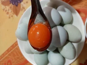 The Mystery of Blue Eggs: Surprising Facts About Chicken Egg Varieties and Nutrition - image 0
