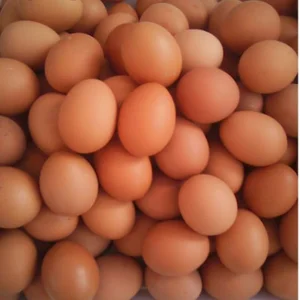 The Mystery of Blue Eggs: Surprising Facts About Chicken Egg Varieties and Nutrition - image 3