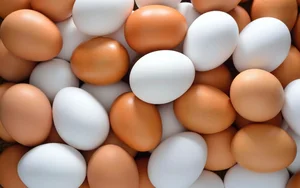 The Mystery of Blue Eggs: Surprising Facts About Chicken Egg Varieties and Nutrition - image 4