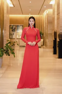 Stunning Gen Z Beauty Queen Captivates Fans in Traditional Vietnamese Ao Dai - image 13