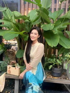 Stunning Gen Z Beauty Queen Captivates Fans in Traditional Vietnamese Ao Dai - image 14