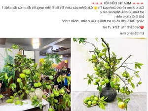 Fragrant Golden Apple Branches Become the Latest Viral Shopping Trend on Vietnamese Online Markets - image 6