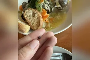 Lucky Diner Discovers Rare ‘Treasure’ Inside Restaurant Meal - image 2