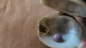 Lucky Diner Discovers Rare ‘Treasure’ Inside Restaurant Meal - image 6