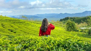 9 Most Instagrammable and Picturesque Spots to Visit in Da Lat - image 2