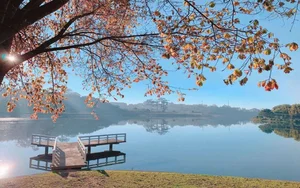 9 Most Instagrammable and Picturesque Spots to Visit in Da Lat - image 11